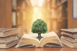 看護師　アドラー心理学　課題の分離